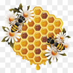 Honey And Bee Png, Transparent Png - bee png