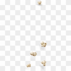 Shell, HD Png Download - popcorn png