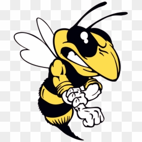 Yellow Jacket, HD Png Download - bee png
