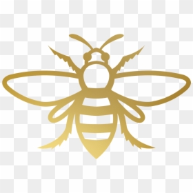 Gold Bee Clip Art, HD Png Download - bee png