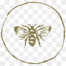 Illustration, HD Png Download - bee png