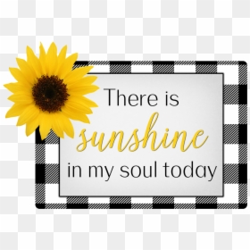 Sunflower, HD Png Download - shine png
