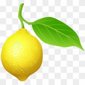 Lemon Png, Transparent Png - lemon png
