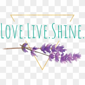 Live Love Shine, HD Png Download - shine png