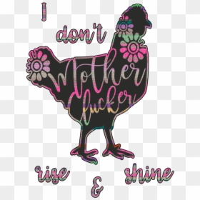 Rooster, HD Png Download - shine png