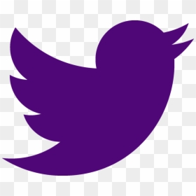 Twitter Logo Cut Out, HD Png Download - social media png