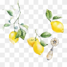 Watercolor Lemon Free Png, Transparent Png - lemon png