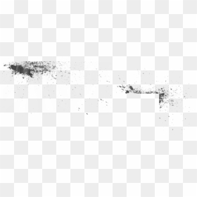 Bird, HD Png Download - dirt png