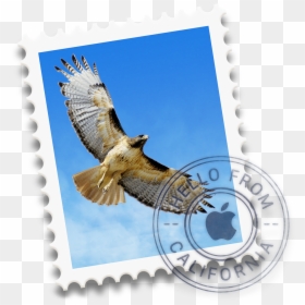 Apple Mac Mail, HD Png Download - email png