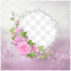 Pink Rose Transparent Png, Png Download - diamonds png