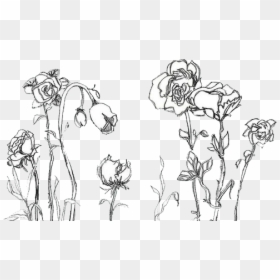 Aesthetic Flower Drawing Png, Transparent Png - grunge png