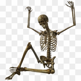 Skeleton Hanging Transparent Background, HD Png Download - skeleton png
