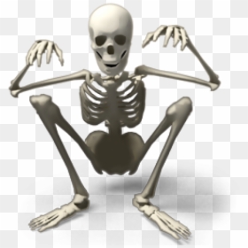 Skeleton Png, Transparent Png - skeleton png