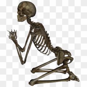 Esqueleto Otaku, HD Png Download - skeleton png