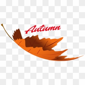 Transparent Autumn Leaf Png, Png Download - fall leaves png