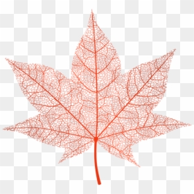 Png Transparent Pink Leaf Png, Png Download - fall leaves png