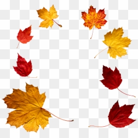 Png File Leaves, Transparent Png - fall leaves png