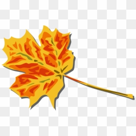 Fall Leaves Clip Art, HD Png Download - fall leaves png