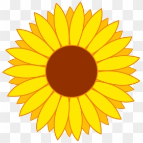 Sunflower Clipart Png, Transparent Png - floral png