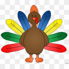 Turkey With Colored Feathers, HD Png Download - thanksgiving png