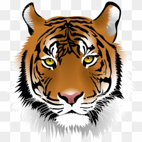 Tiger Png Image Download, Transparent Png - tiger png