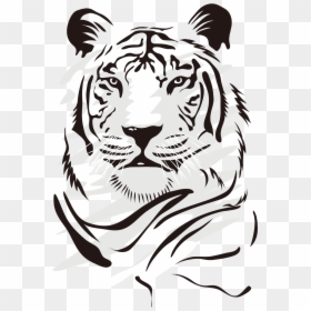 Tiger Vector, HD Png Download - tiger png