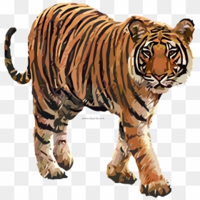 Tiger Clipart, HD Png Download - tiger png