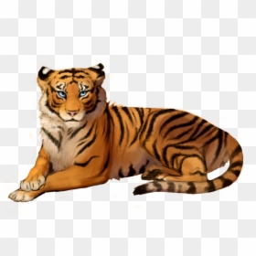 Tiger With Out Background, HD Png Download - tiger png