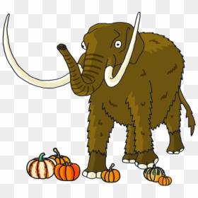Indian Elephant, HD Png Download - thanksgiving png