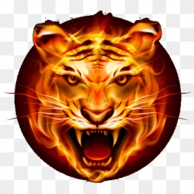 Ps4 Avatars Tiger, HD Png Download - tiger png