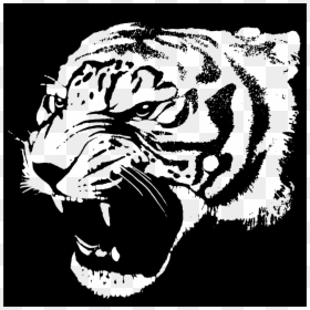 Tiger Head Outline Png, Transparent Png - tiger png