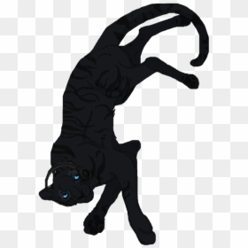 Dog Catches Something, HD Png Download - tiger png