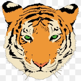 Clipart Tiger Face, HD Png Download - tiger png