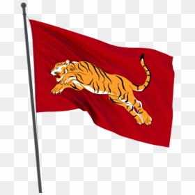 Tiger Flag, HD Png Download - tiger png