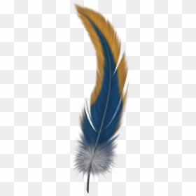 Transparent Background Feather Png, Png Download - feather png