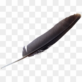 Eagle Feather Transparent, HD Png Download - feather png