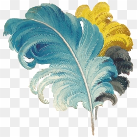 Victorian Feather, HD Png Download - feather png