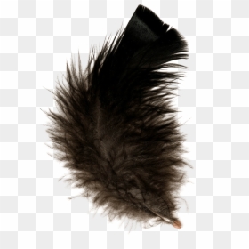Transparent Background Fur Png, Png Download - feather png