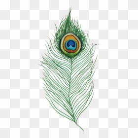 Peacock Feather, HD Png Download - feather png