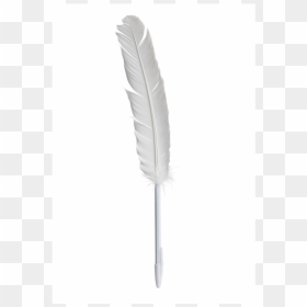 Feather Pen, HD Png Download - feather png