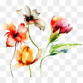 Watercolor Flowers With Stems, HD Png Download - watercolor flowers png