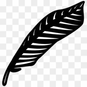 Turkey Feather Black And White, HD Png Download - feather png