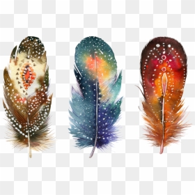 Feather Png, Transparent Png - feather png