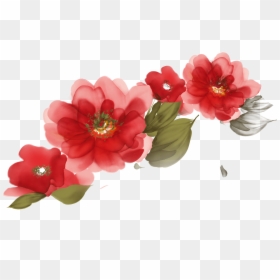 Lg 20 Led Monitor, HD Png Download - watercolor flowers png