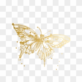 Black Watercolor Butterfly Tattoo, HD Png Download - star butterfly png