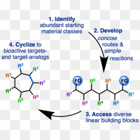 Diagram, HD Png Download - university of florida png