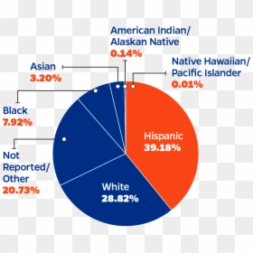 Diagram, HD Png Download - university of florida png