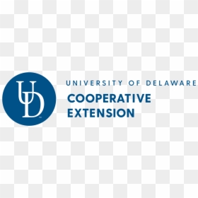University Of Delaware, HD Png Download - lower third templates png
