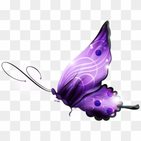 Magic Butterfly Png, Transparent Png - magical png