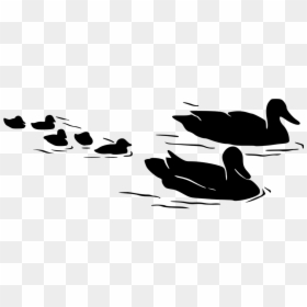 Duck On Water Silhouette, HD Png Download - baby duck png